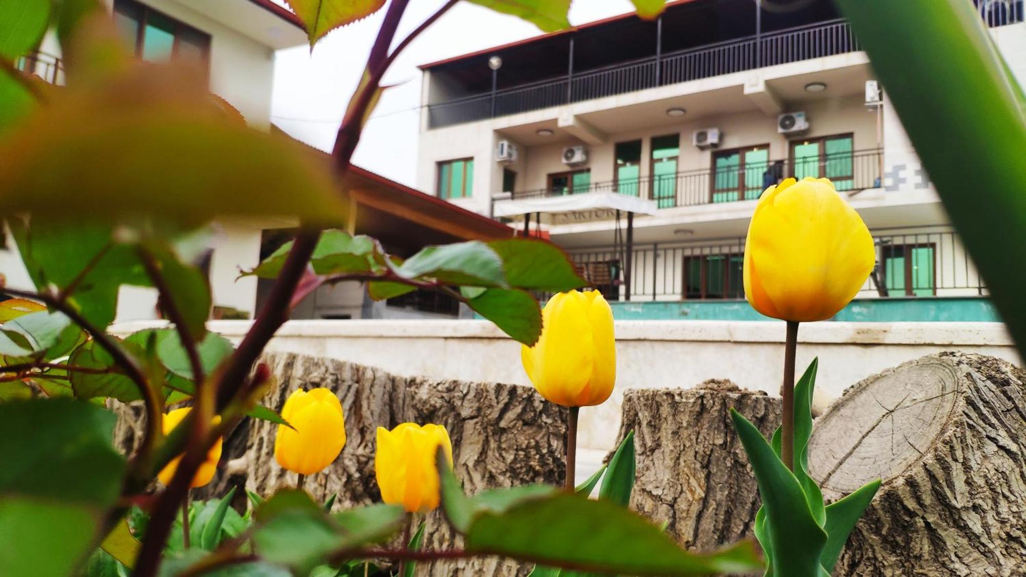 Apex Rest House Of 10 Rooms And Pool Ереван Экстерьер фото